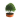 Bonsai Viveroonline.com.co