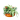 Plantas interior Viveroonline.com.co
